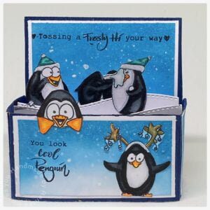 My finished penguin card in a box card featuring stamps from Craft emotions