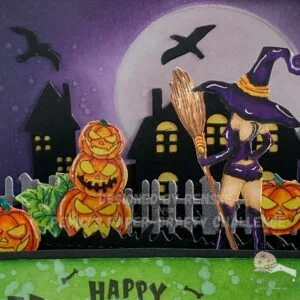 Close up picture Scene Halloween Card in A box Close-up of the spooky scene inside the Halloween card in a box, focusing on the witch, pumpkins, and other decorative elements.
