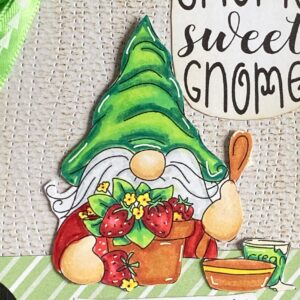 Close up picture coloured Gnometastic Strawberry Dream Polkadoodles