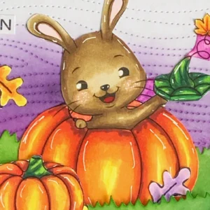 Close up from the coloured image bunny with two pumpkins Right-side close-up of the DIY Pumpkin Card, focusing on the bunny inside the pumpkin. The foreground has an additional pumpkin, adding depth and detail.