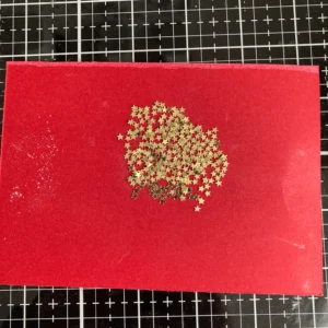 Golden star shaker elements on a red cardstock.