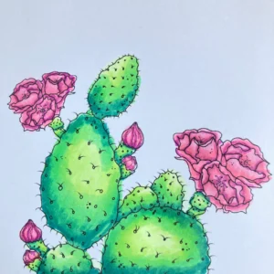 Close up picture of the colour iamge Pretty Cactus Alex Syberia Desings Close-up of the hand-colored cactus illustration, featuring detailed shading and vibrant green tones. This digital stamp is the focal point of the cactus thank you card.