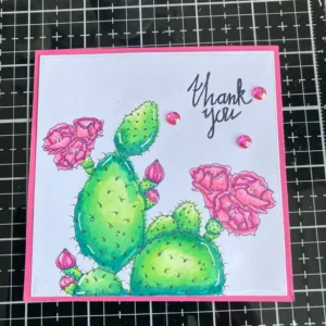 Pink border around the Pretty Cactus image The cactus illustration with a pink border, ready to be placed inside the card’s frame. This element adds contrast and highlights the central image in the cactus thank you card design.