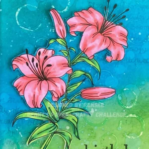 Coloured Lilium Digital stamp Mirtiliamente Close-up of the coloured digital flower stamp from the flower birthday card. The petals are shaded in pastel pink, rose pink, and warm fuchsia using alcohol markers. The leaves show detailed blending in shades of green, highlighting smooth colour transitions and marker strokes.