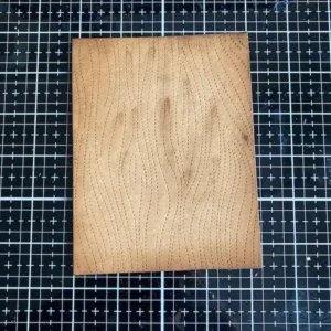 Close-up of the finished woodgrain background showing ink blending and embossed texture, perfect for creating depth in an autumn card.