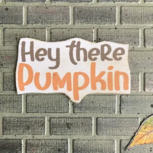 Close up of the sentiment Hey there pumpkin.