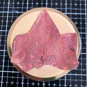 Layered leaf element placed on a vellum circle and gold metallic paper circle for a warm wishes card design.